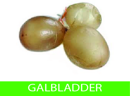 galbladder