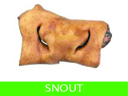 snout